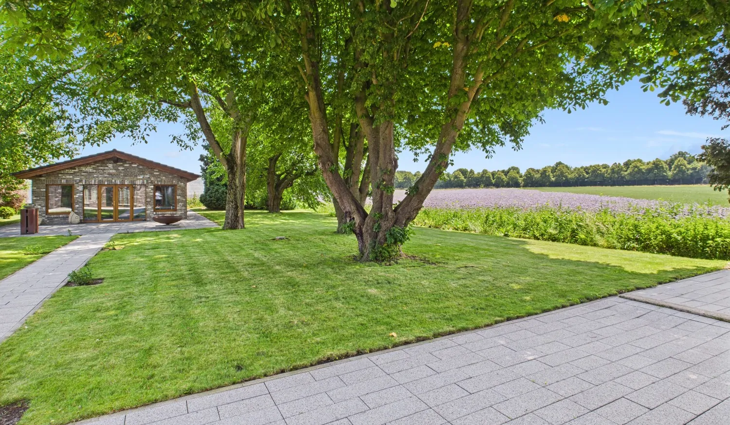Terrasse mit Blick in den Garten