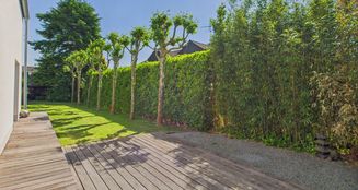 von_poll_real_estate_property_25456007_image_13