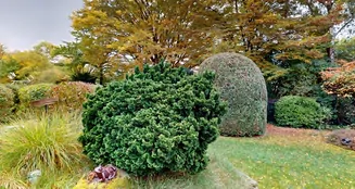 von_poll_real_estate_property_25001268_image_16