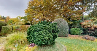 von_poll_real_estate_property_25001268_image_16