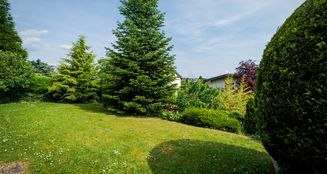 von_poll_real_estate_property_25001143_image_19