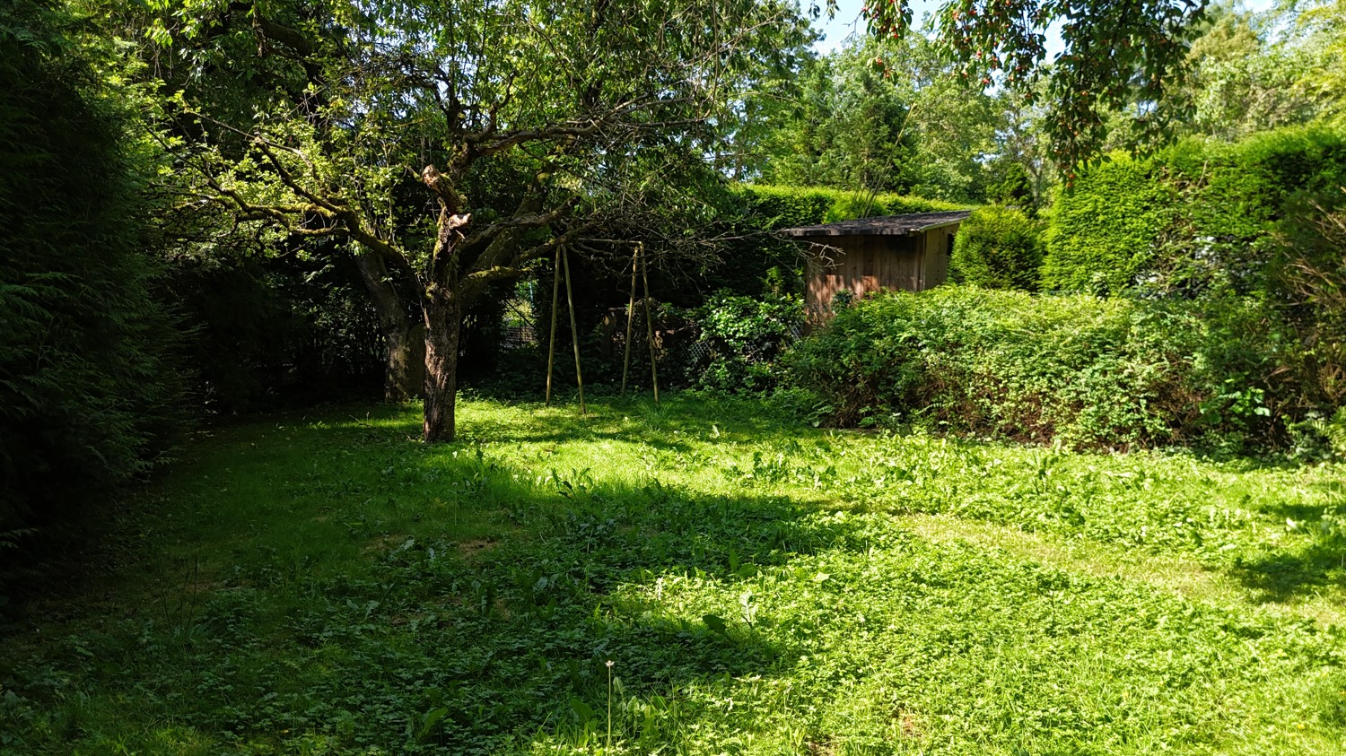 Garten Ansicht III