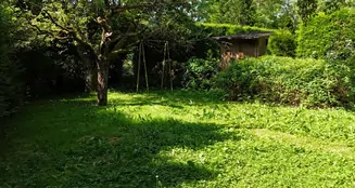 von_poll_real_estate_property_25001152_image_17