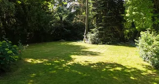 von_poll_real_estate_property_25001152_image_16