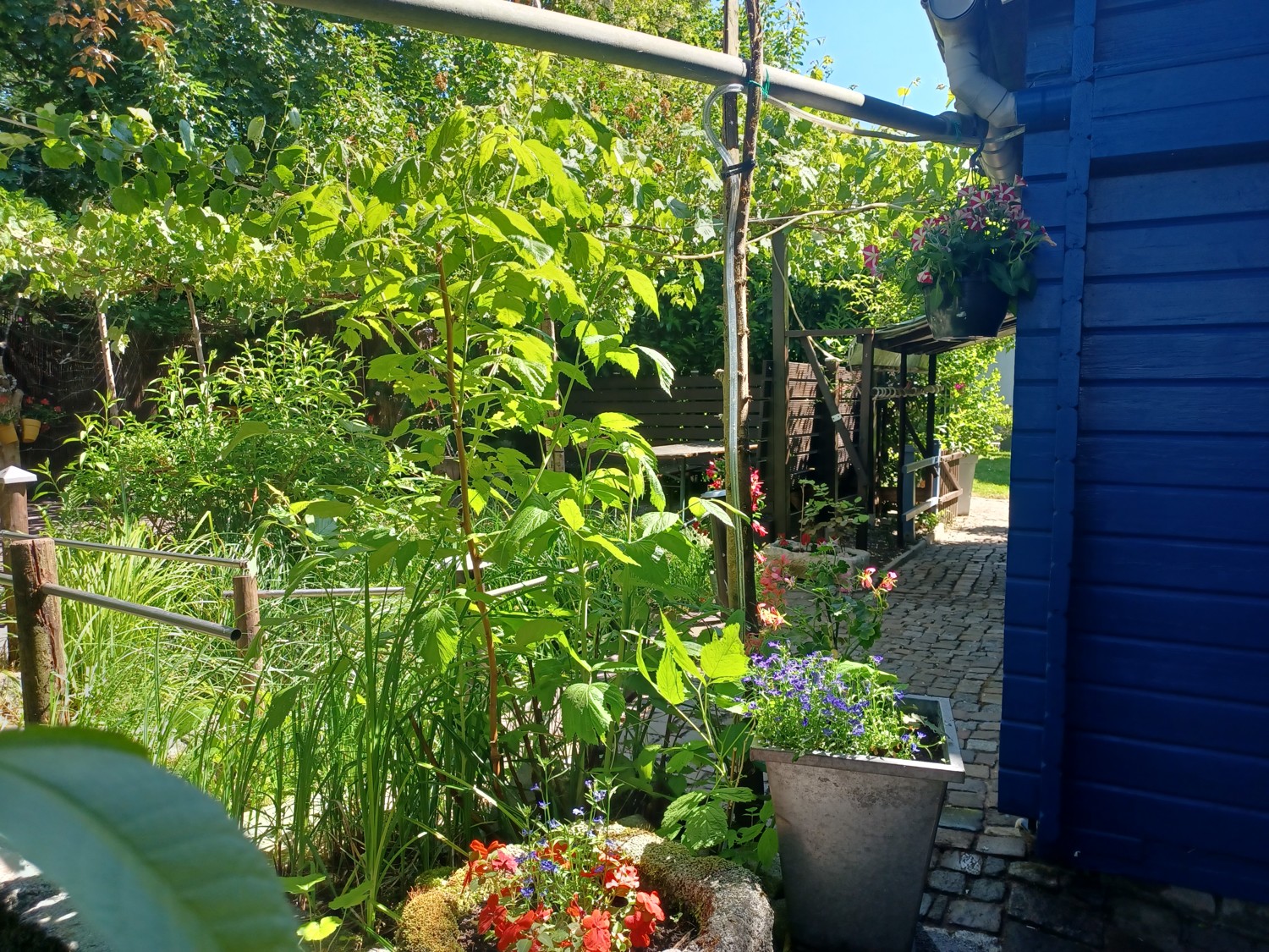 Hinterer Gartenbereich mit Gartenhaus