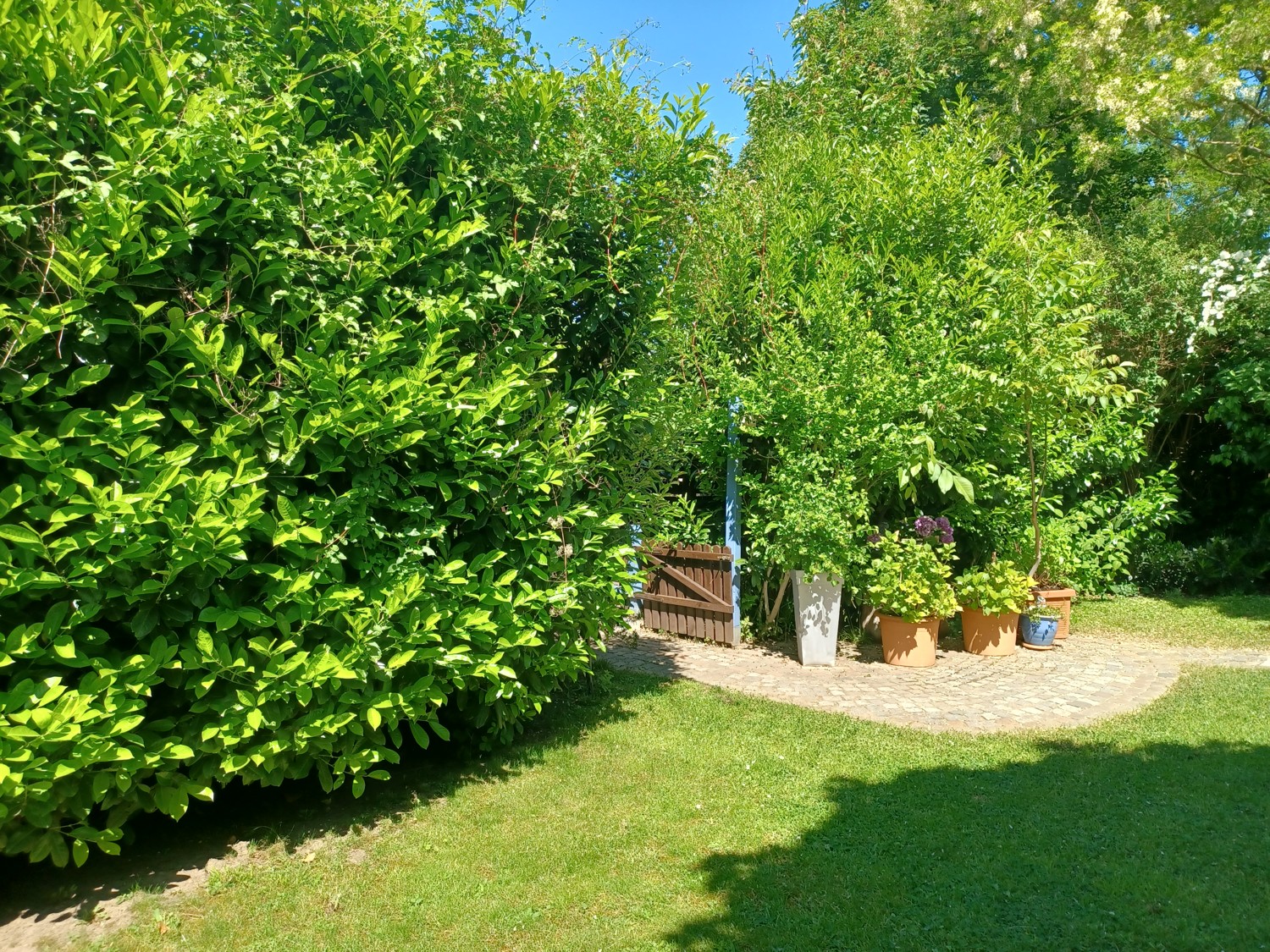 Garten Ansicht III
