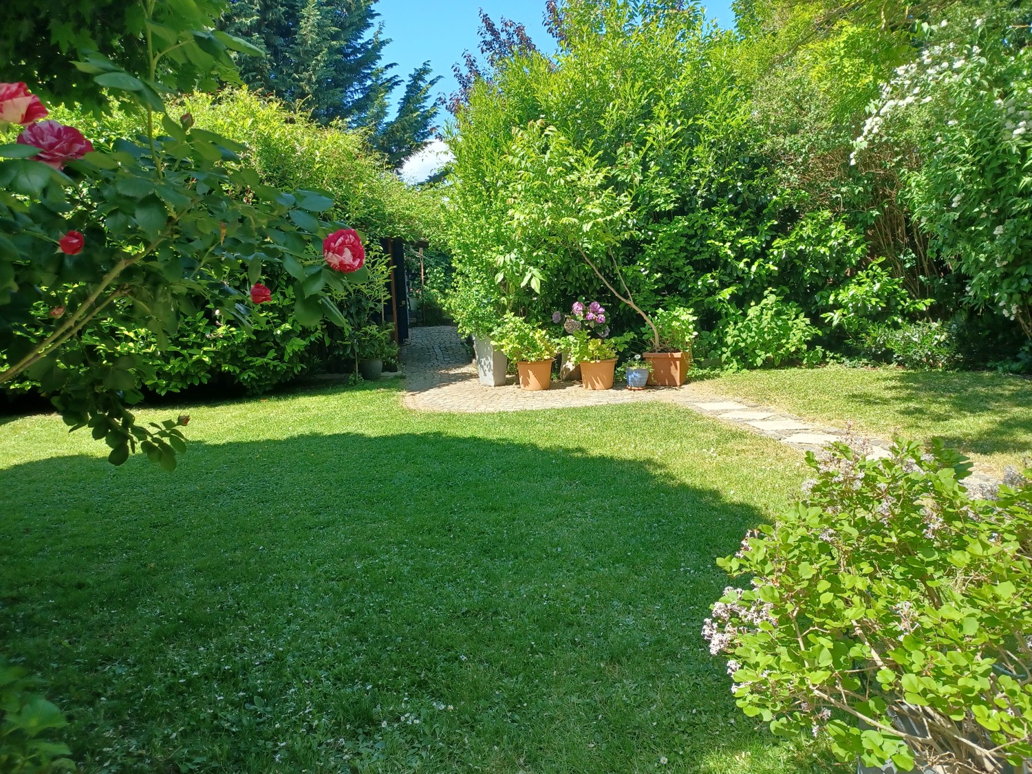 Garten Ansicht I