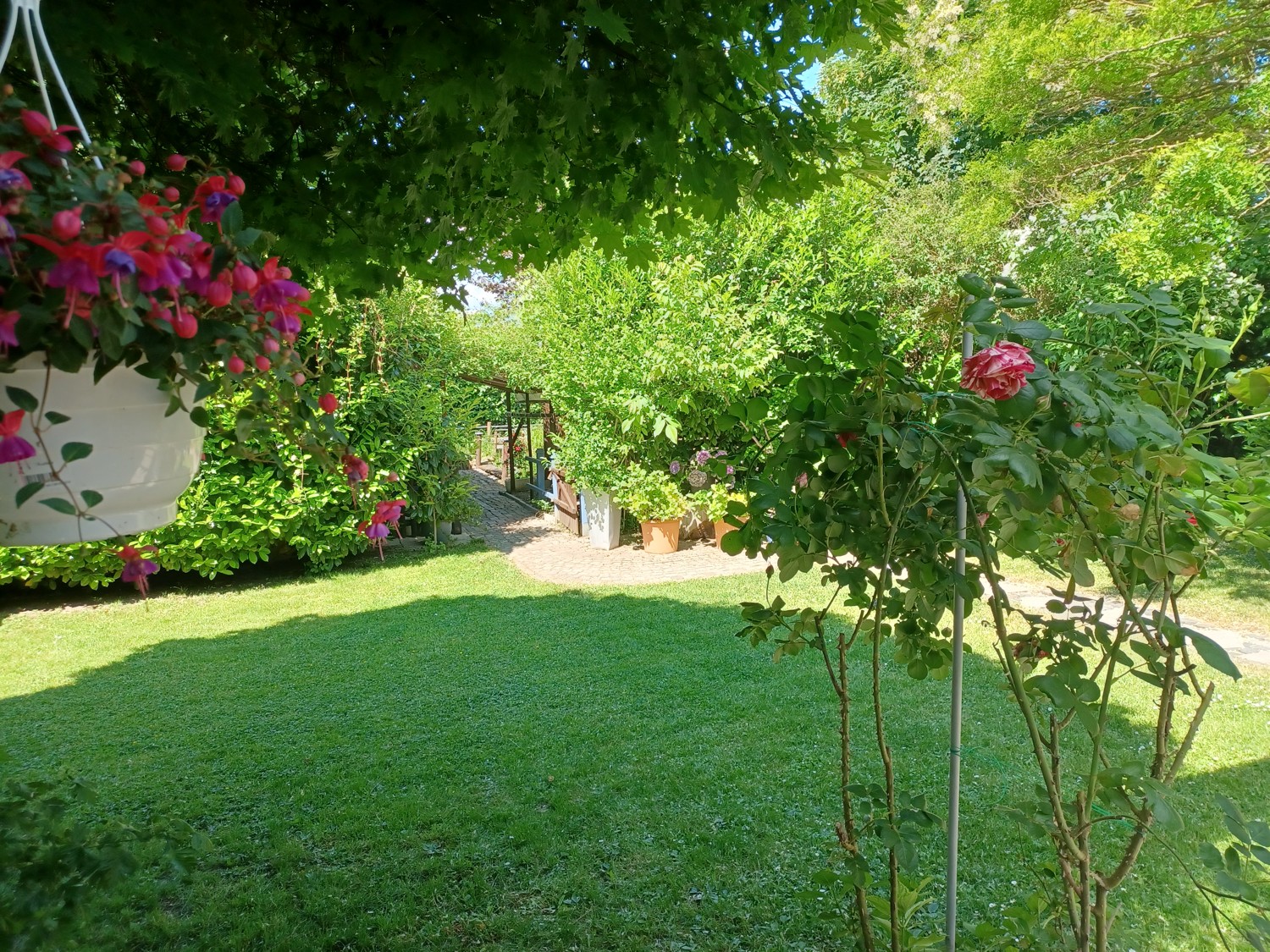 Garten Ansicht IV