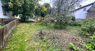 von_poll_real_estate_property_25001257_image_2