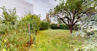 von_poll_real_estate_property_25001252_image_9