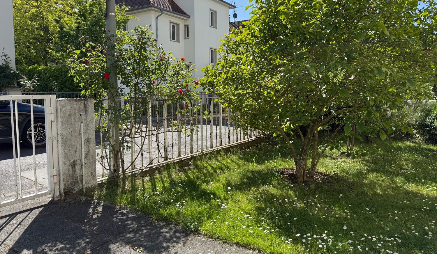 Vorgarten