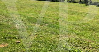 von_poll_real_estate_property_AN692_image_4