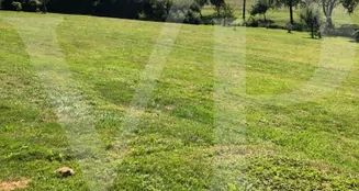 von_poll_real_estate_property_AN692_image_4