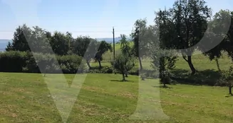 von_poll_real_estate_property_AN692_image_5