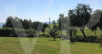 von_poll_real_estate_property_AN692_image_5