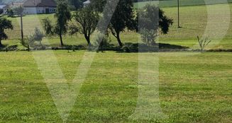 von_poll_real_estate_property_AN692_image_6