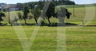 von_poll_real_estate_property_AN692_image_6