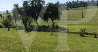 von_poll_real_estate_property_AN692_image_2