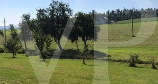 von_poll_real_estate_property_AN692_image_2