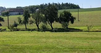 von_poll_real_estate_property_AN692_image_0