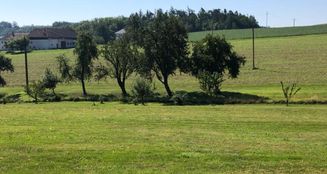 von_poll_real_estate_property_AN692_image_0