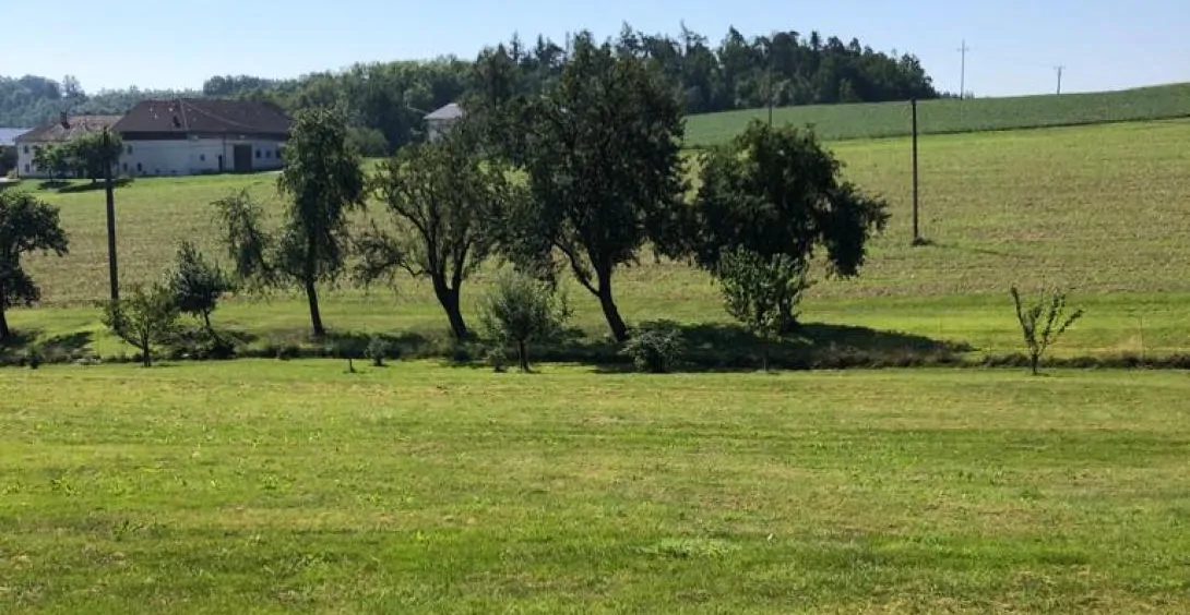 b54e00e7-1409-4f16-9309-8a6136cf94cd