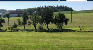 von_poll_real_estate_property_AN692_image_0