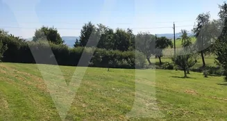 von_poll_real_estate_property_AN692_image_8