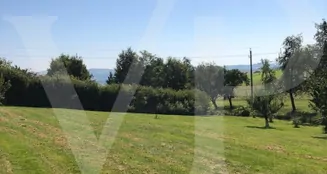 von_poll_real_estate_property_AN692_image_8