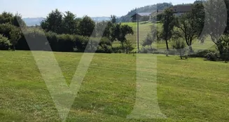 von_poll_real_estate_property_AN692_image_7