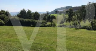 von_poll_real_estate_property_AN692_image_7