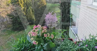 von_poll_real_estate_property_JE996_image_7