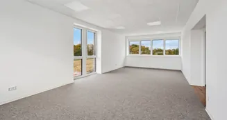 von_poll_real_estate_property_25346004_image_17