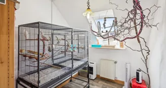 von_poll_real_estate_property_25346014_image_14