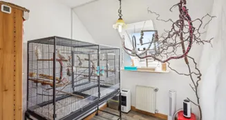 von_poll_real_estate_property_25346014_image_14