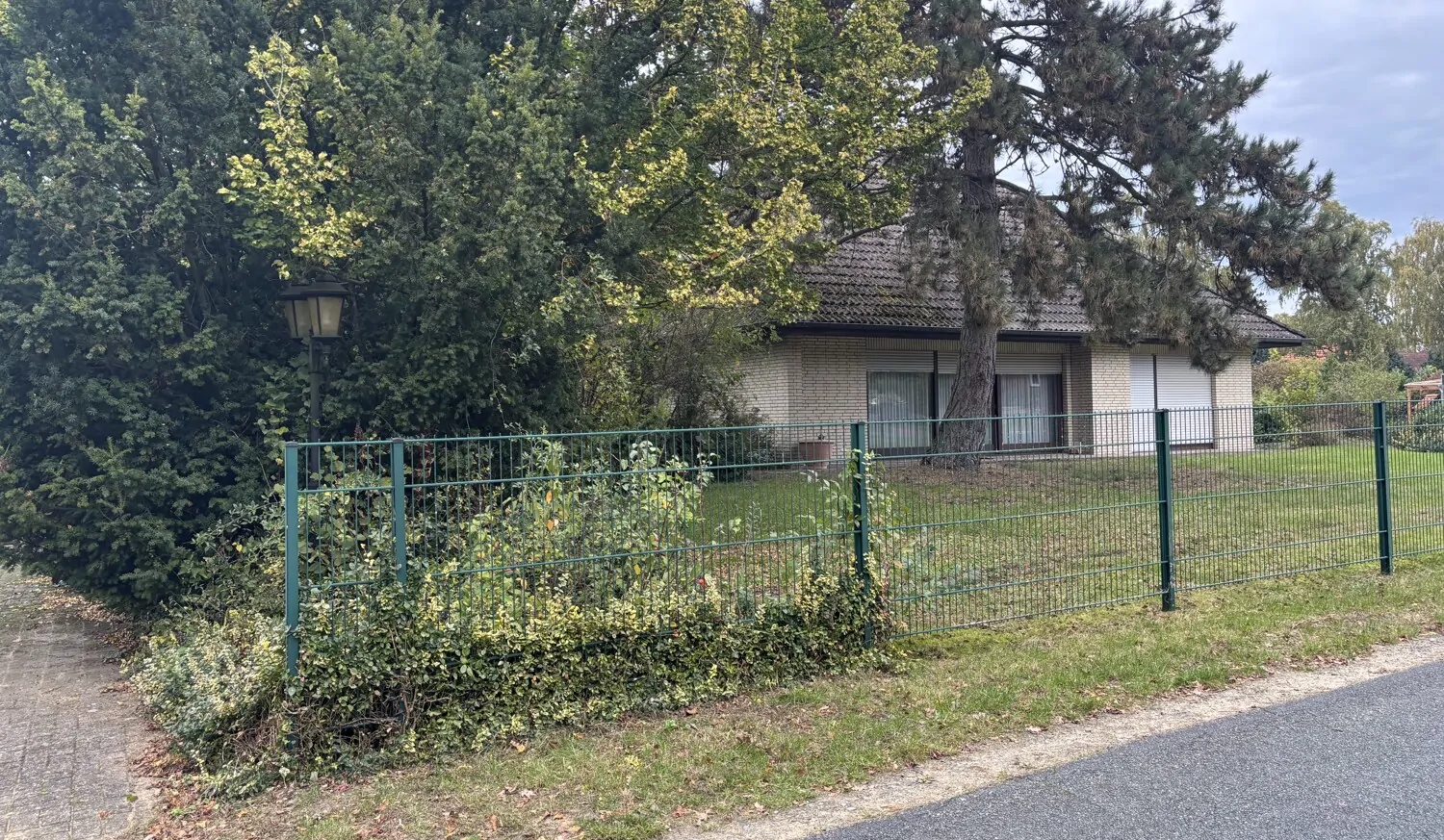 Einblick in den Garten