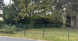 von_poll_real_estate_property_25346058_image_14