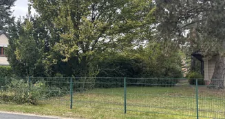 von_poll_real_estate_property_25346058_image_14