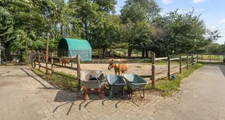 von_poll_real_estate_property_25346052_image_9