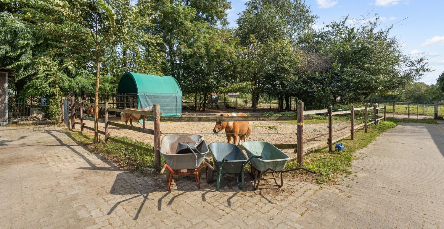 Pony-Paddock