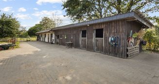 von_poll_real_estate_property_25346052_image_7