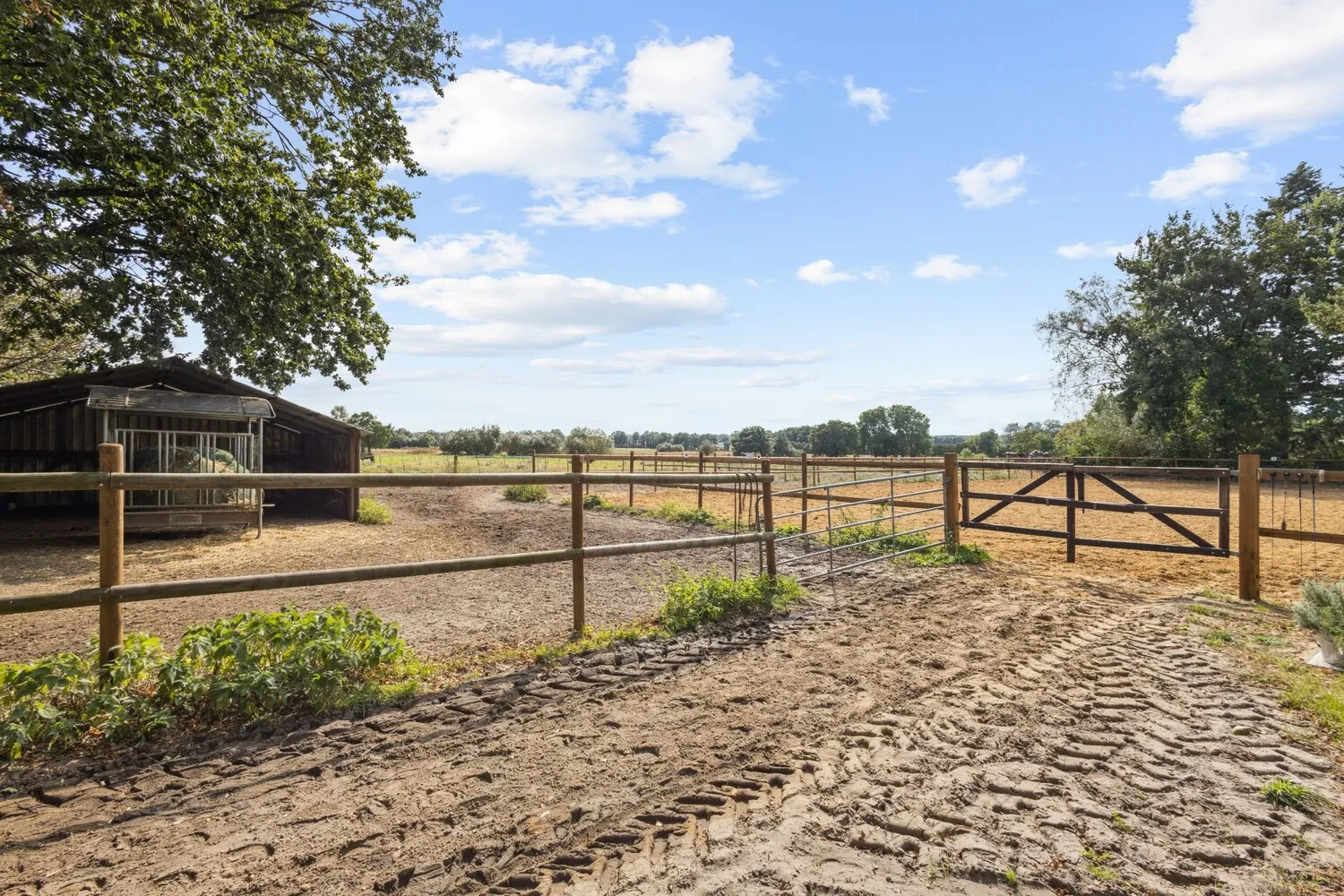 gepachteter Reitplatz