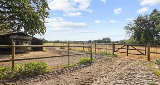 von_poll_real_estate_property_25346052_image_11