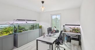 von_poll_real_estate_property_25346046_image_8