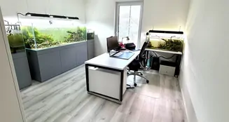 von_poll_real_estate_property_25346072_image_10