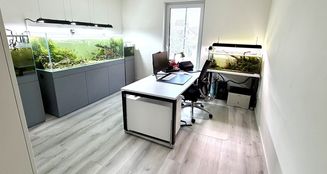 von_poll_real_estate_property_25346072_image_10