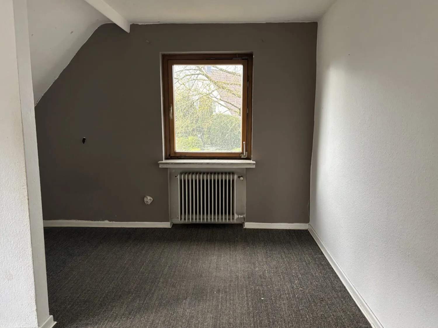 Zimmer DG