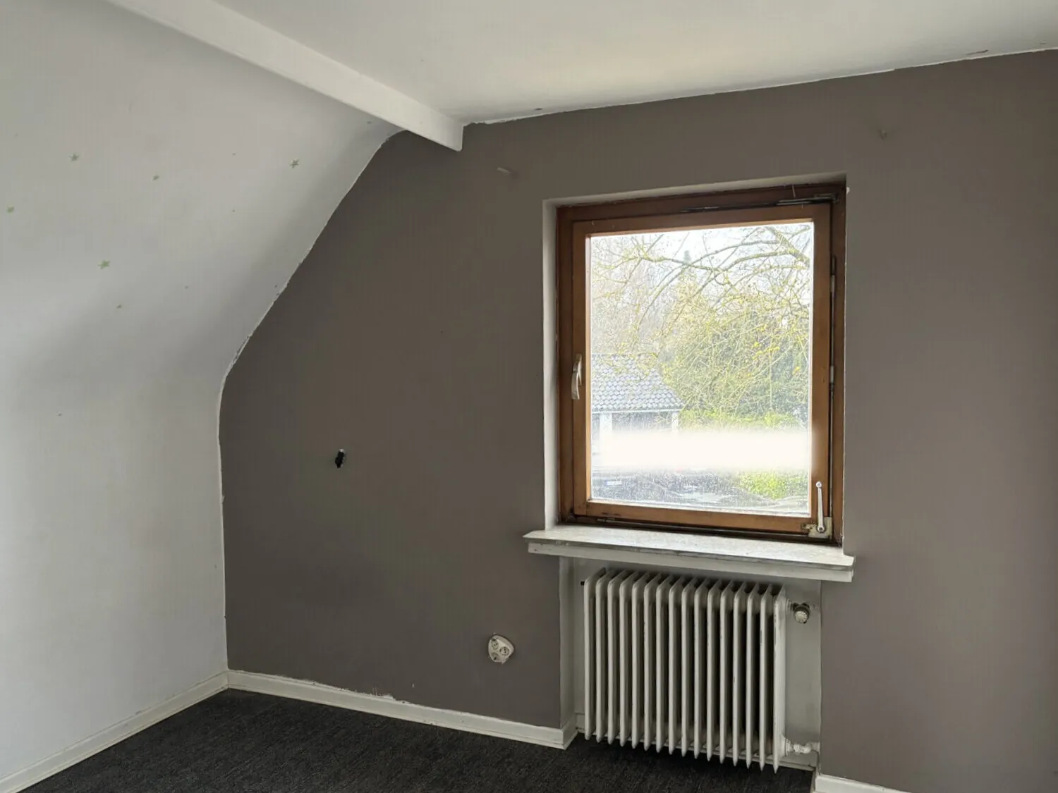 Zimmer DG