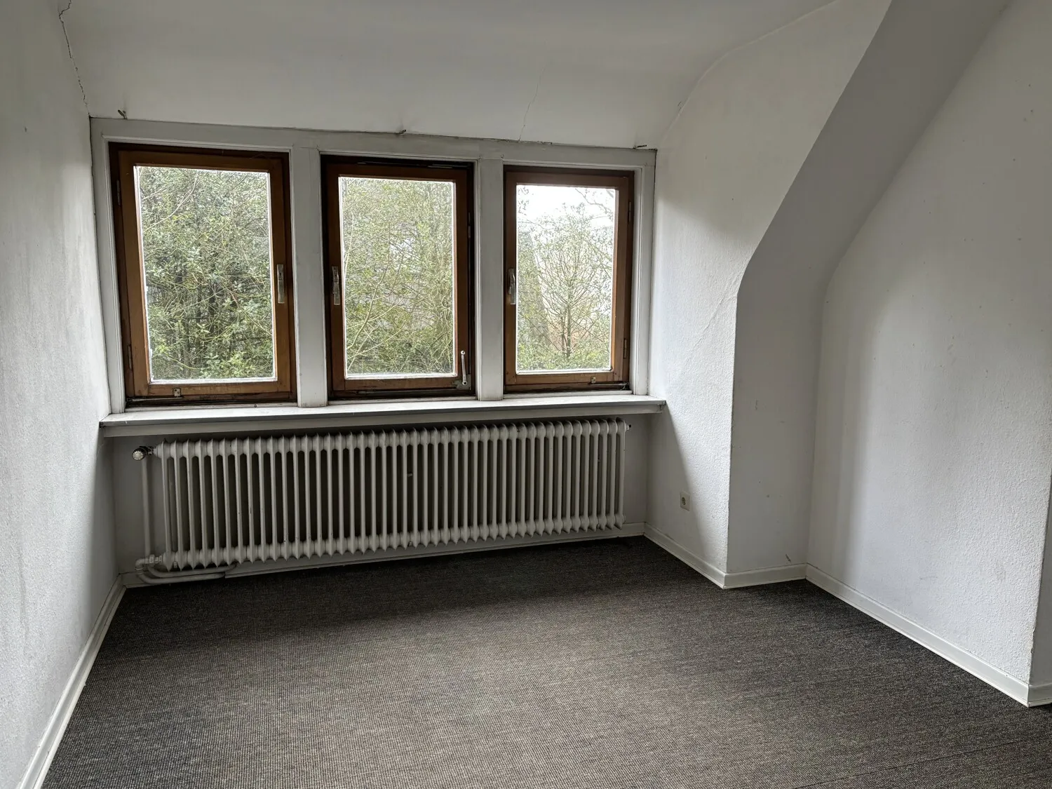 Zimmer DG