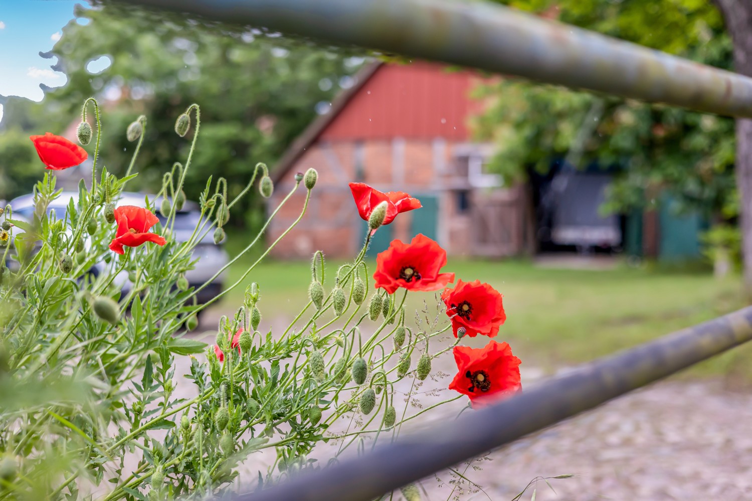 Impressionen